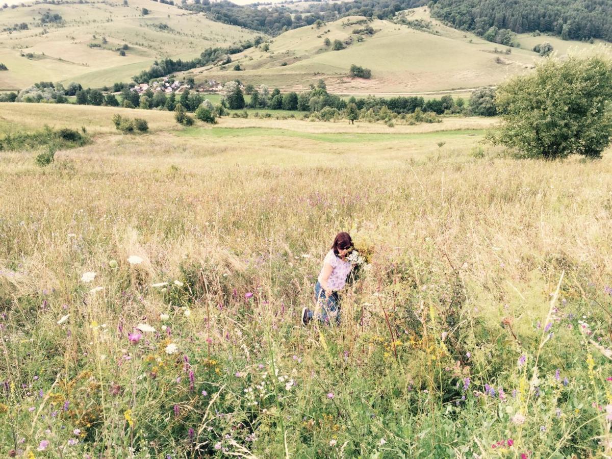 Pensiune Agroturistica Hanna Ocland Exteriér fotografie