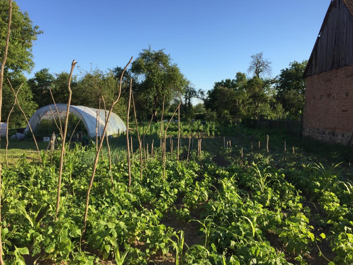 Pensiune Agroturistica Hanna Ocland Exteriér fotografie